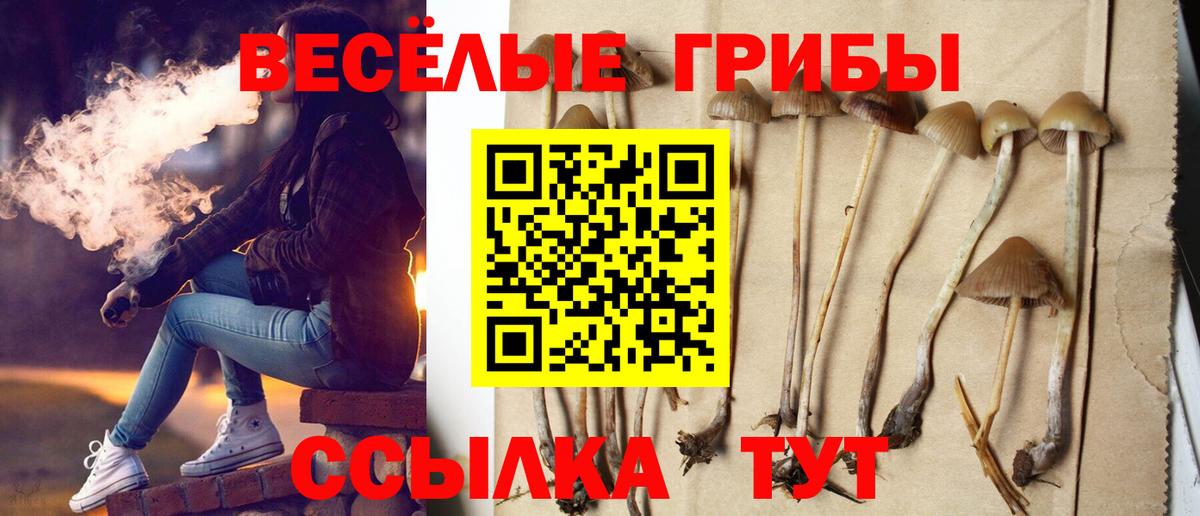 Псилоцибиновые грибы Magic Shrooms  Вход с VPN  как найти закладки  Заволжье 