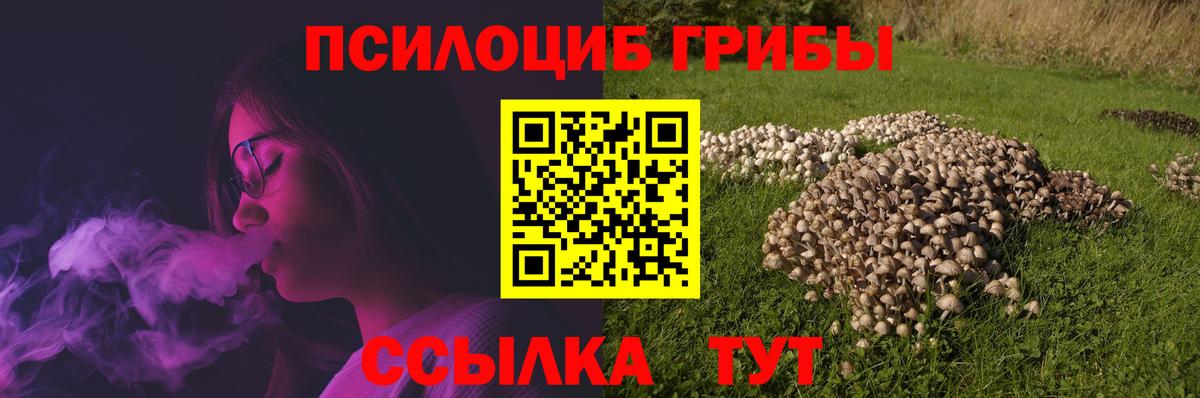 Псилоцибиновые грибы Psilocybe Заволжье